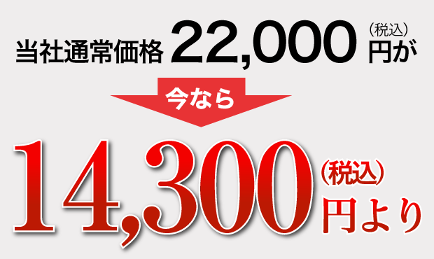 14,300円より！
